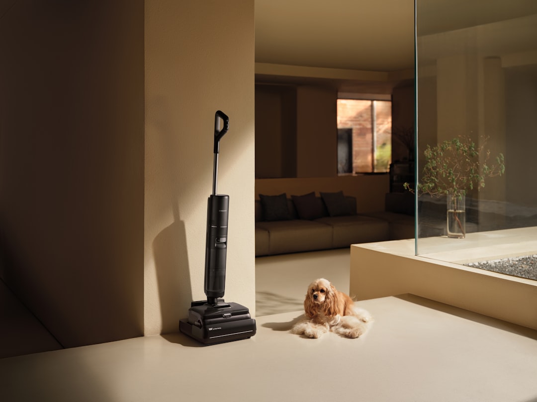 A Dreame wet dry vacuum stands in a sunlit room next to a small dog, presenting a sleek floor cleaner for everyday homes.